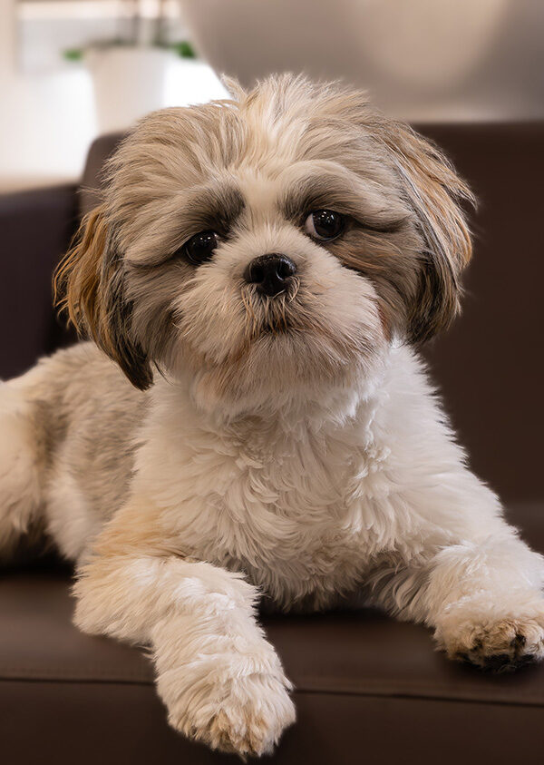 Friseurteam Oberhausen Emma